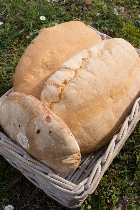 pane sciocco bread menu.